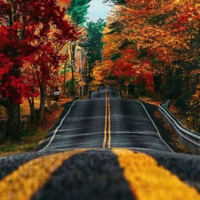 澳门正版资料大全