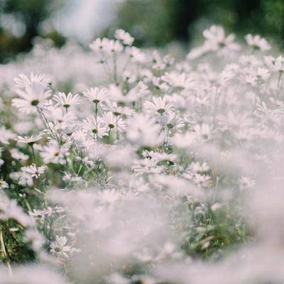 天天中彩票app下载